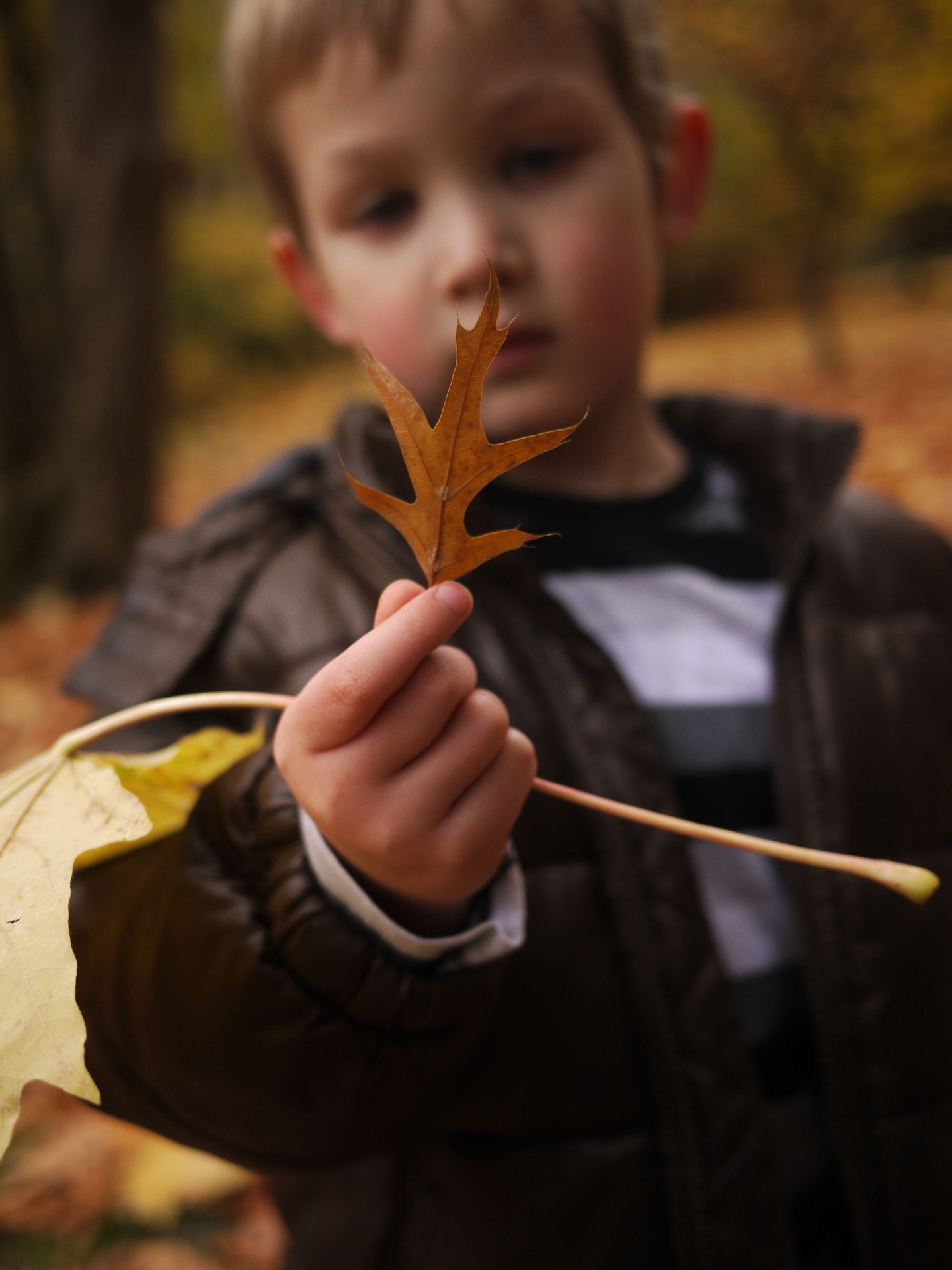 Sebastian, November 2012
